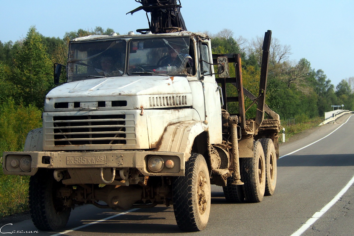 Краз 6437 лесовоз 1 43. Краз 64372 лесовоз. Краз 260 хлыстовоз. Краз 6437. Краз 6437.