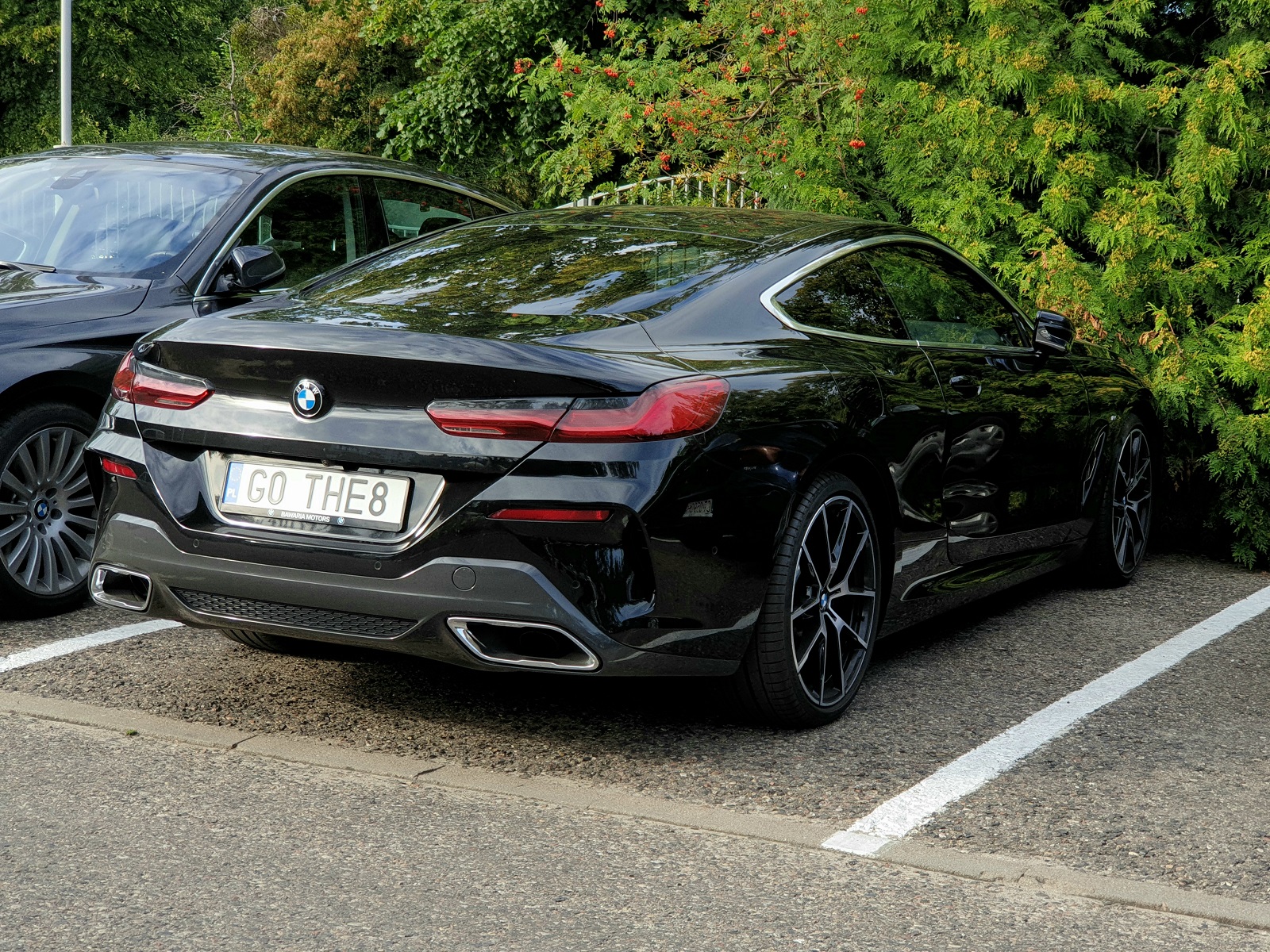 G0 THE8, BMW 8 Series 2nd gen Coupé (G15), 2018–