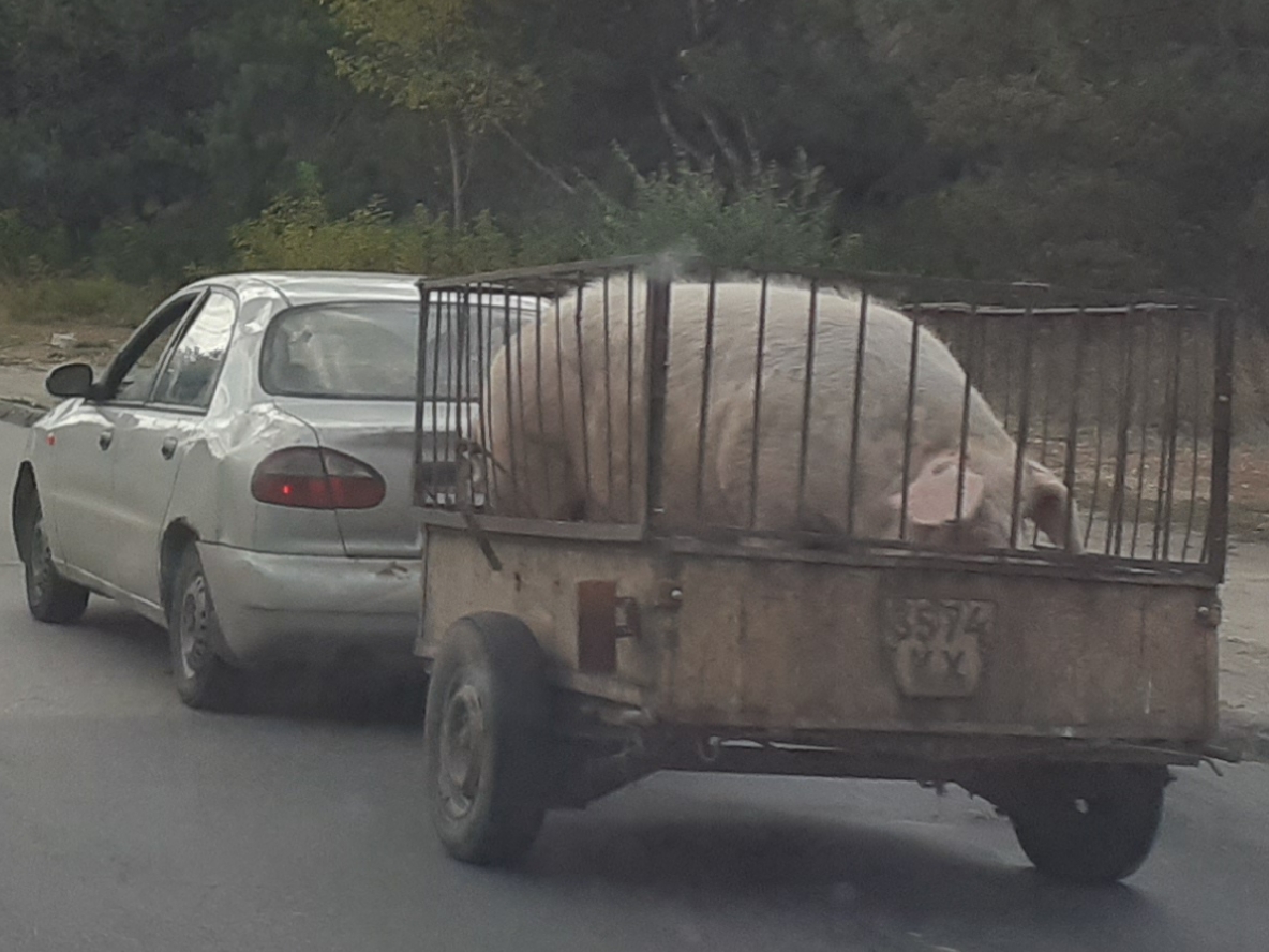 3574 КХ, Trailers (1977) 