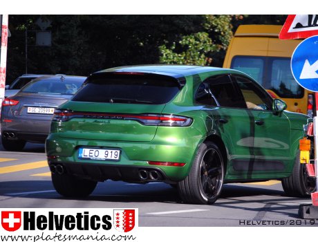 LEO 919, Porsche Macan