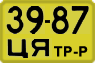 License plate USSR, Special vehicles (1965)