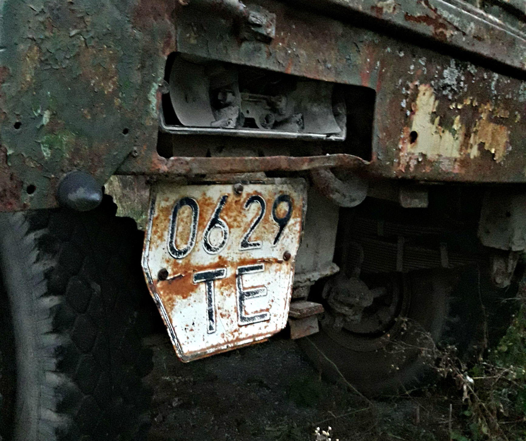 0629 ТЕ, License plate without vehicle 