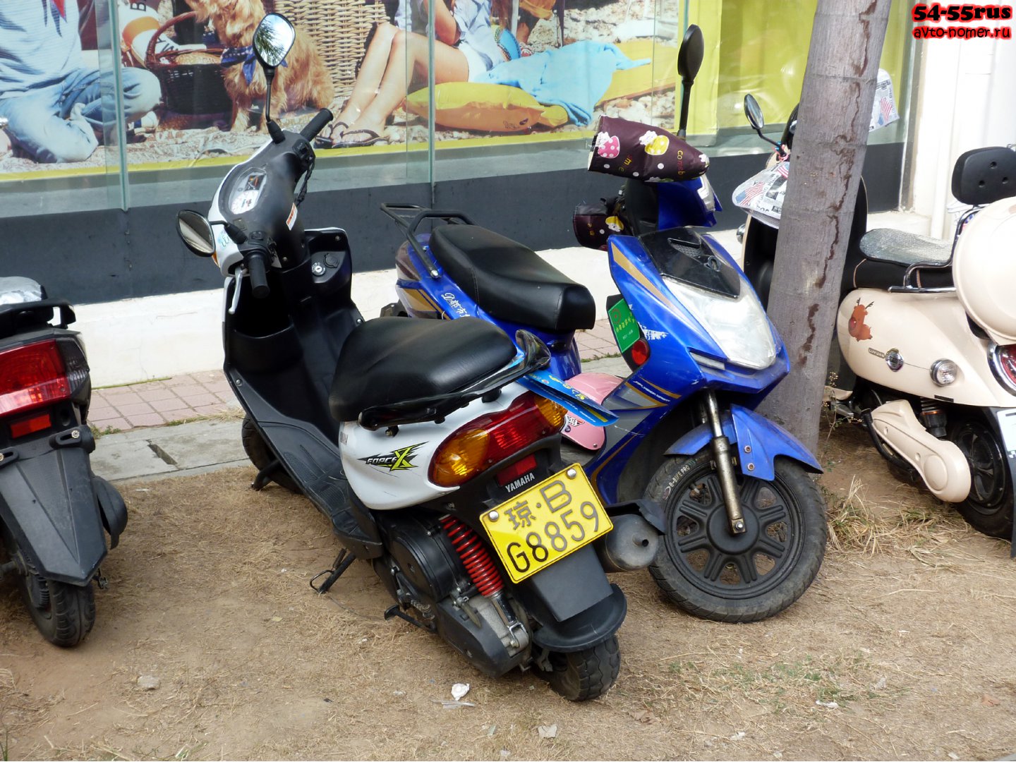 琼B·G8859, Yamaha Force 