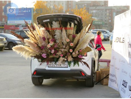н509нк154, Lexus UX