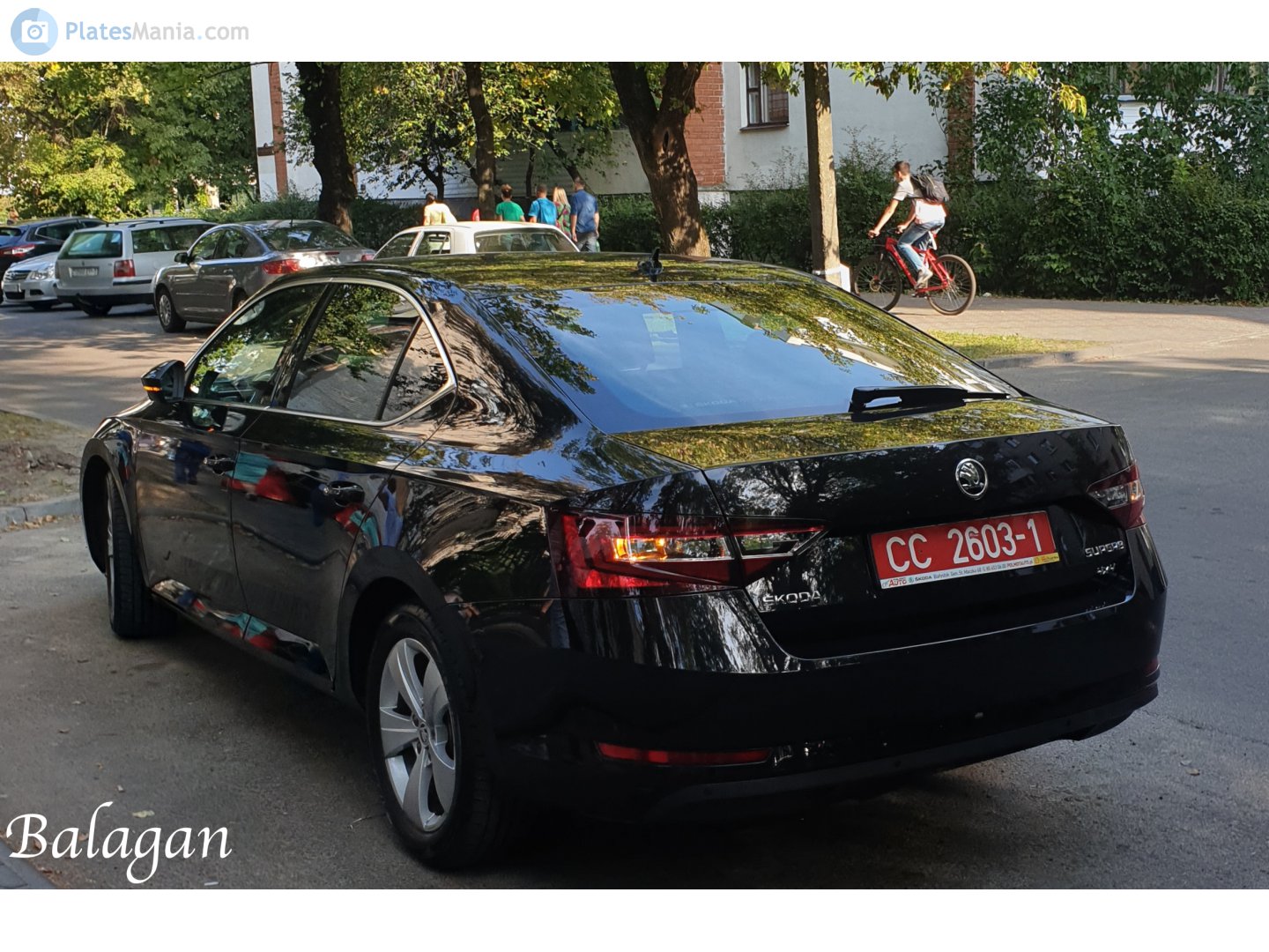 CC 2603-1, Skoda Superb 3rd gen Liftback (B8/3V3), 2015–2019