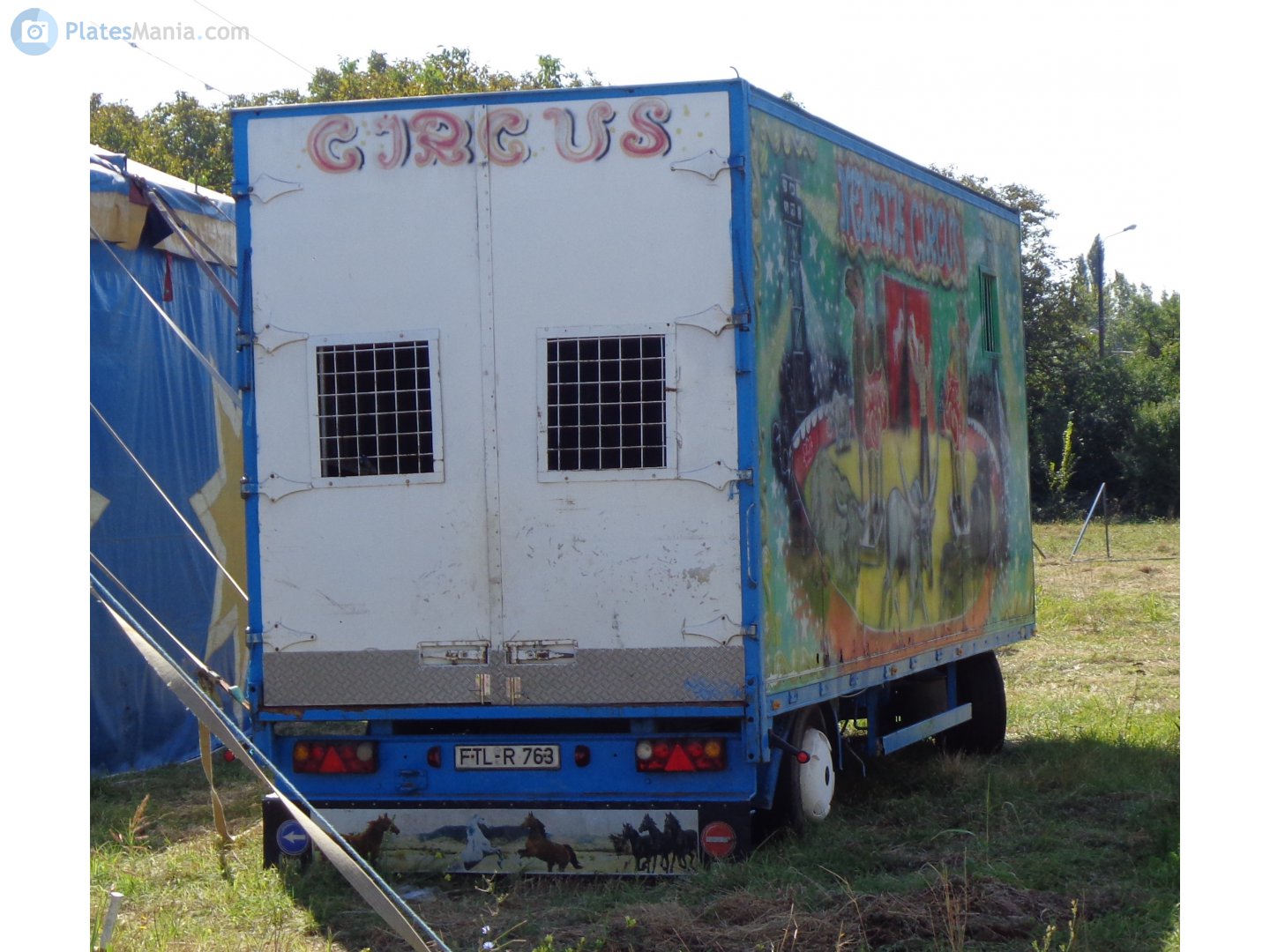 FTL R 763, Regular plates 