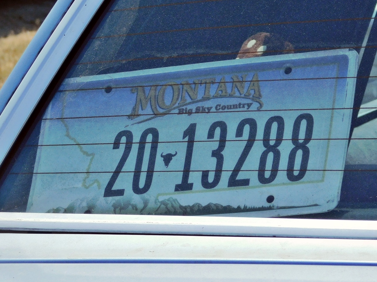 20-13288, License plate without vehicle 