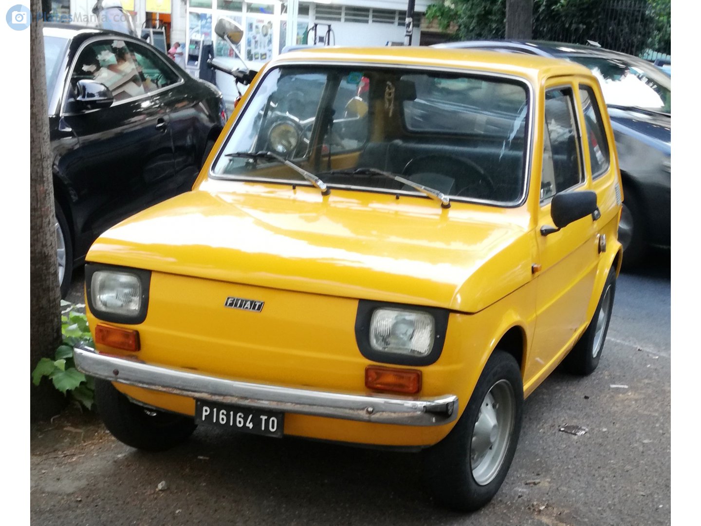 TO P16164, FIAT 126 600/650/FSM, 1972–1991