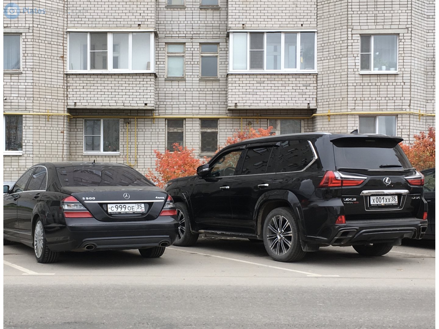 Est номера. 1 х хх. 1 х хх. госномер х001хх01. м777мур77.