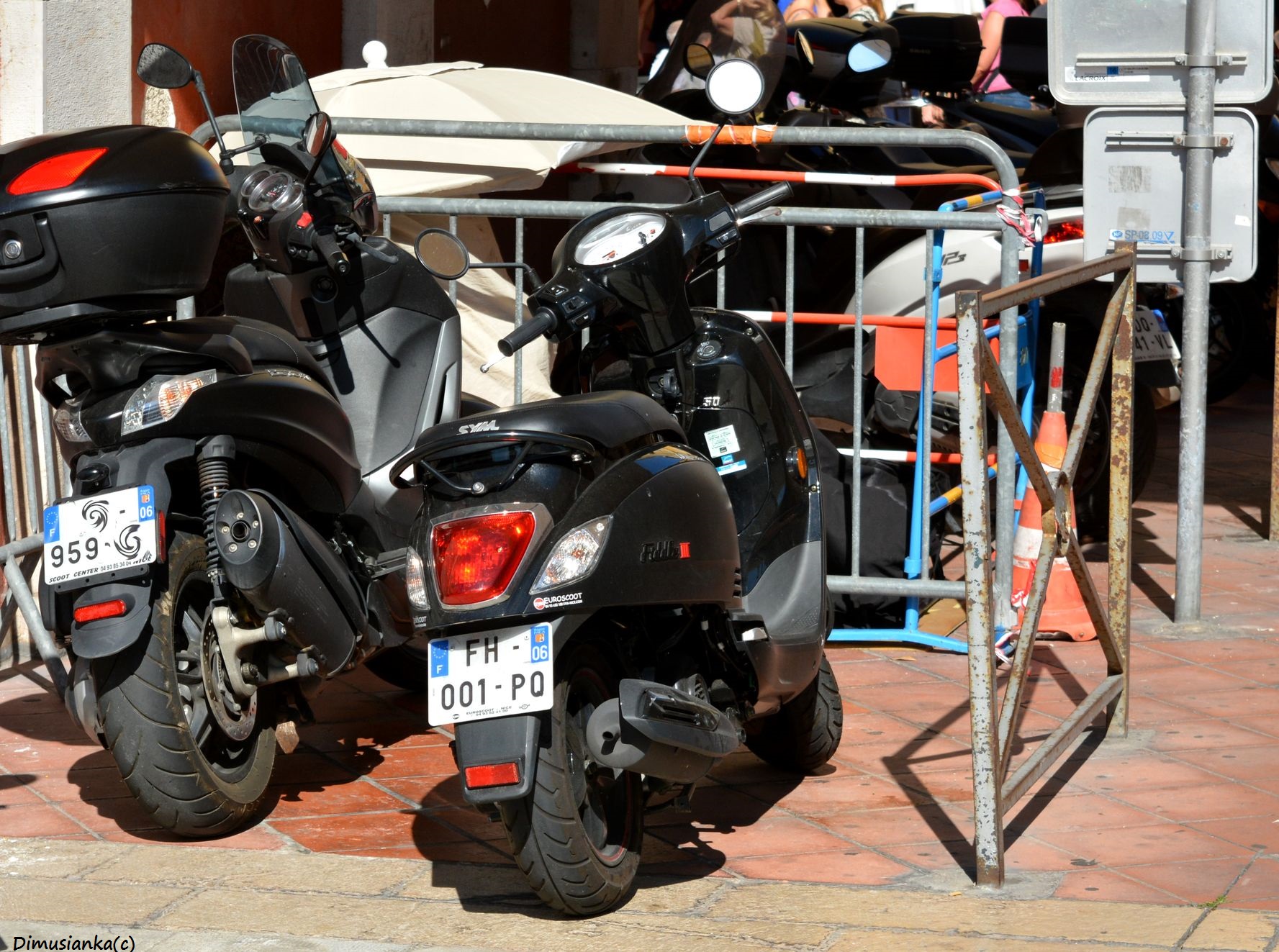 FH-001-PQ, SYM Fiddle 