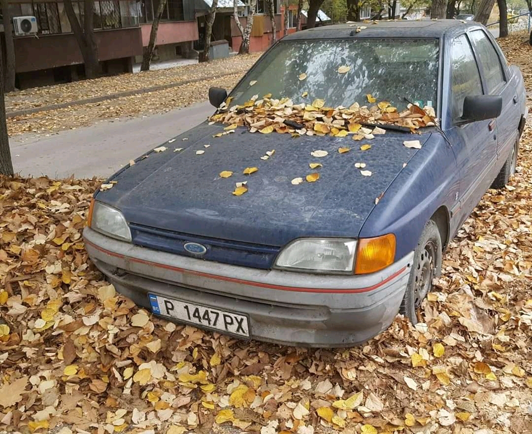 P 1447 PX, Ford Escort 5th gen 5-door Hatch (AAL; Global-market), 1990–1995 (–1996 for LATAM-market)