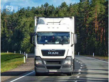 х294нв178, MAN TGX