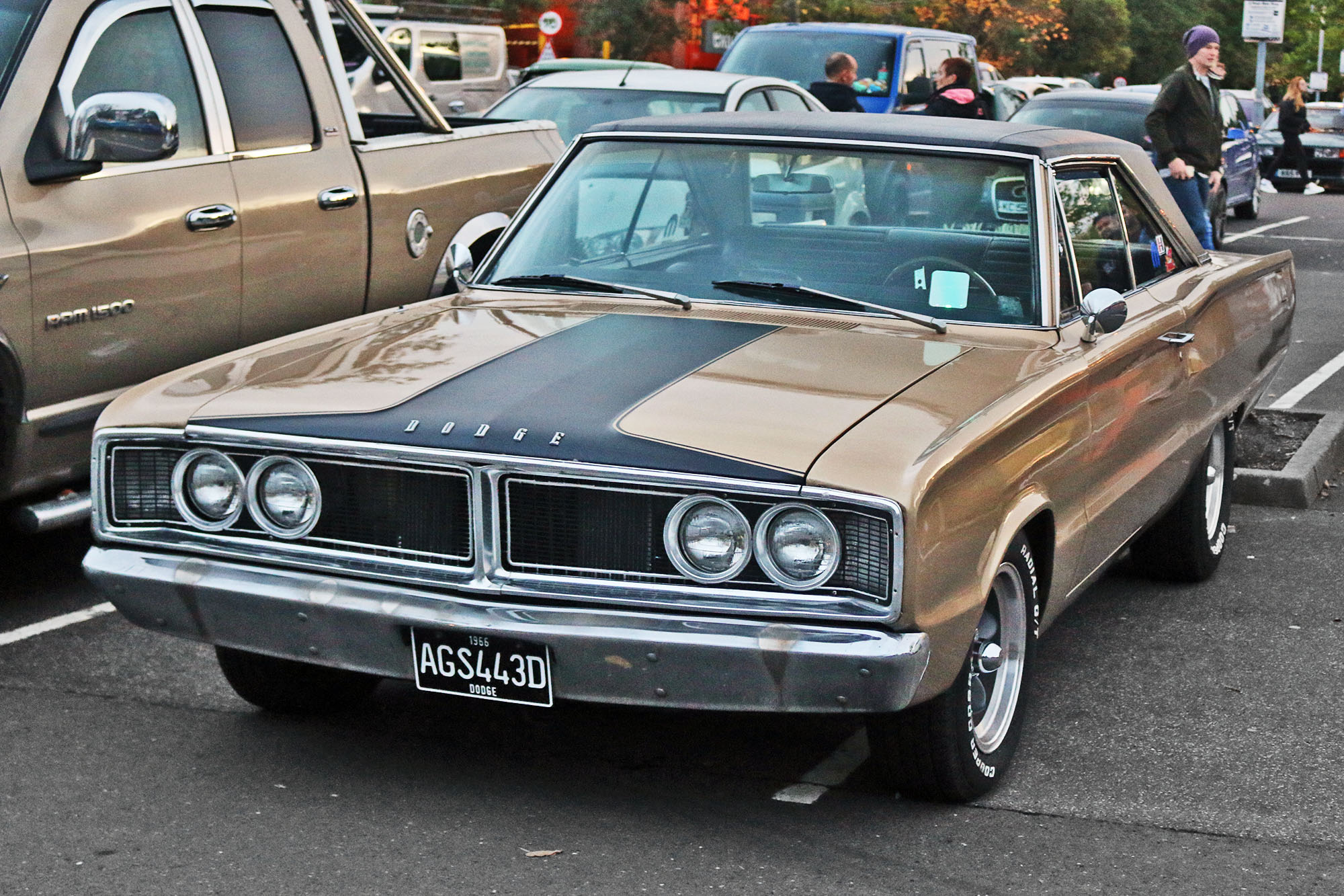 AGS443D, Dodge Coronet 