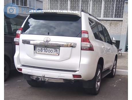 о810оо36, Toyota Land Cruiser Prado