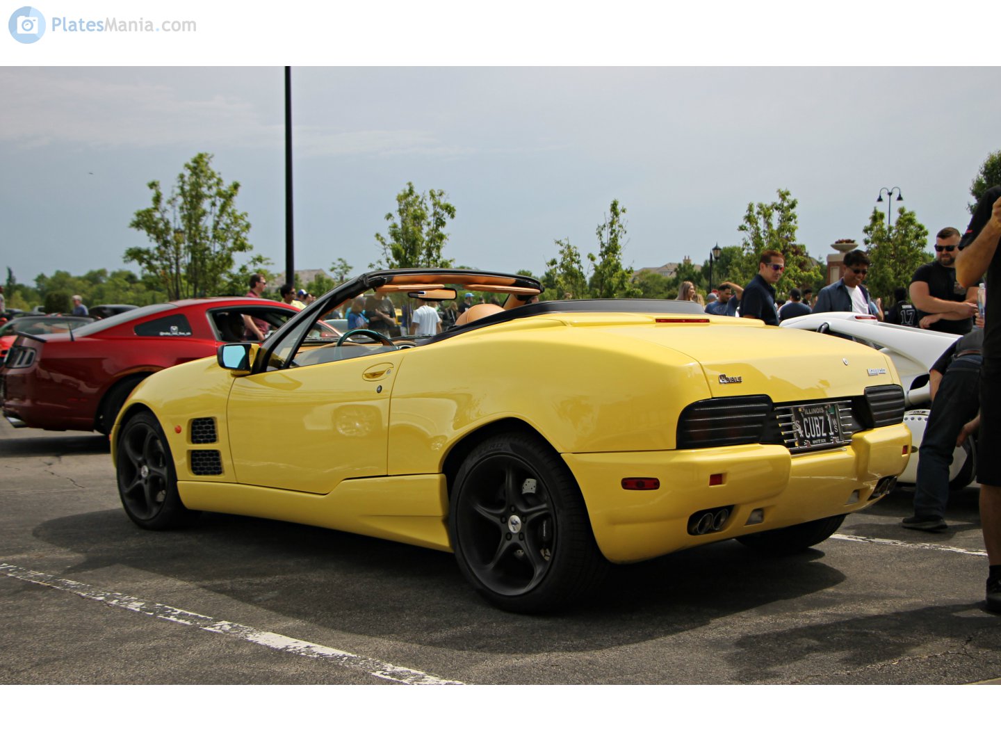 CUBZ 1, Qvale Mangusta 