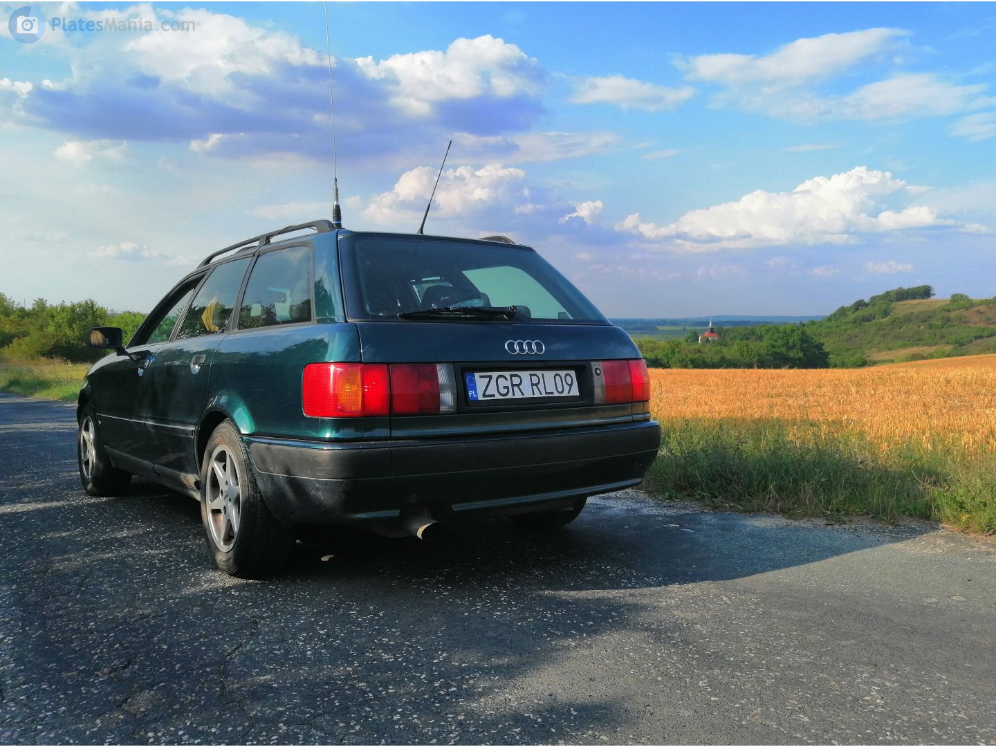 ZGR RL09, Audi 80 4th gen Avant (B4/8C5), 1991–1995