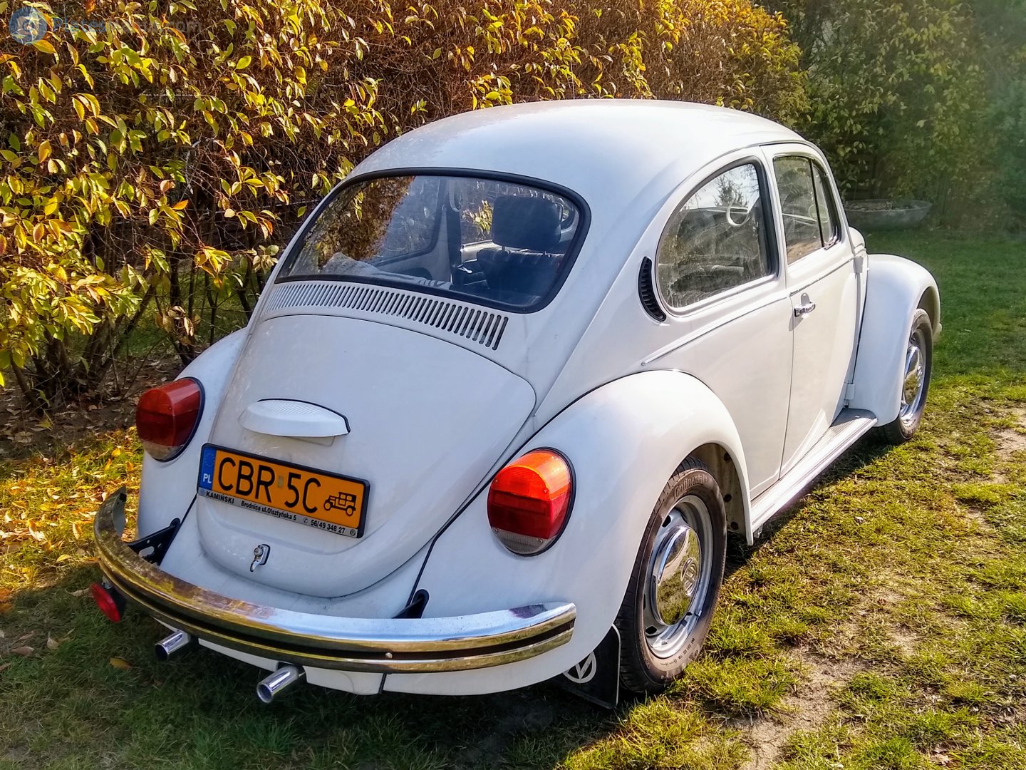 CBR 5C, Volkswagen Beetle 1st gen Sedan (Type 1), 1938­–2003