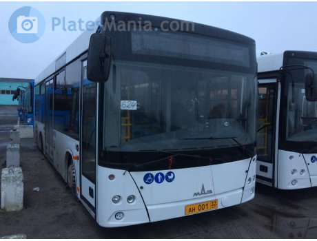 ан 001 32, MAZ 206