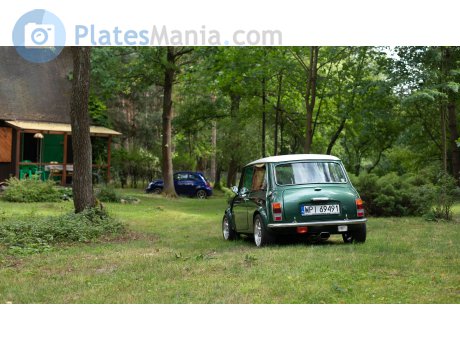 WPI 69491, Austin Mini