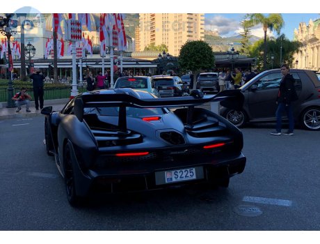 S225, McLaren Senna