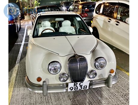 RC 9838, Mitsuoka Viewt
