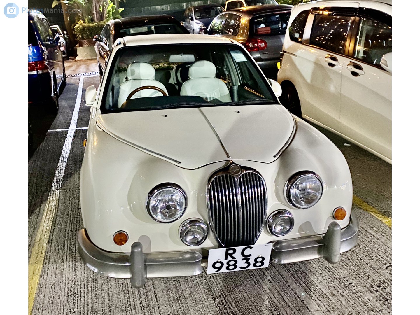 RC 9838, Mitsuoka Viewt 