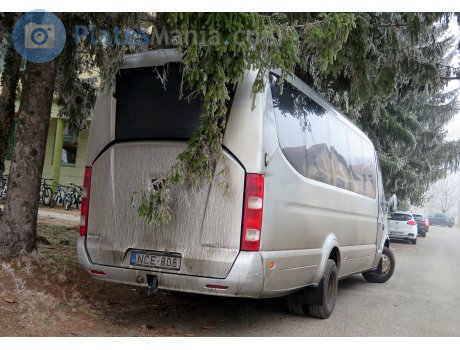 NCE-806, Omnibus Trading Sunset