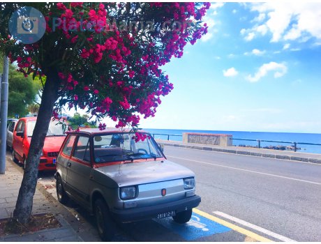 281812 PI, FIAT 126