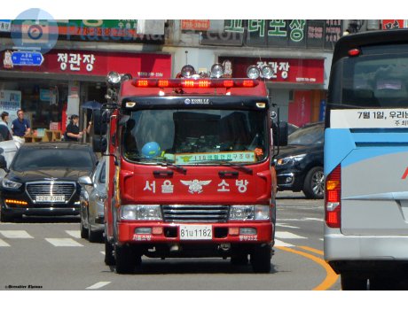 81나 1182, Hyundai Mega Truck
