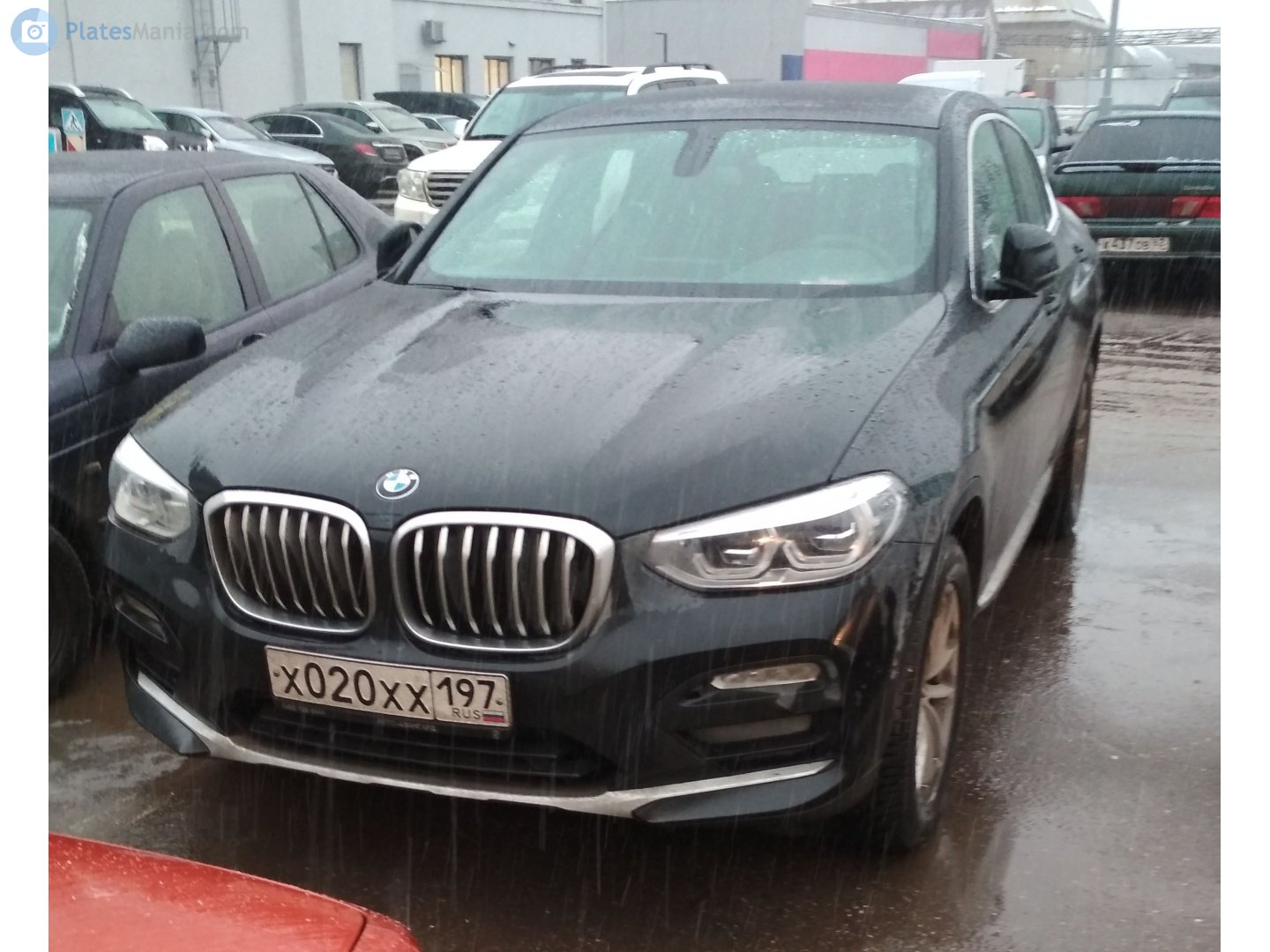 х 020 хх 197, BMW X4 2nd gen (G02), 2018–2021