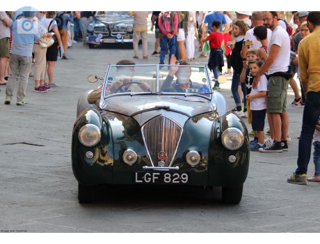 LGF 829, Healey Westland Roadster