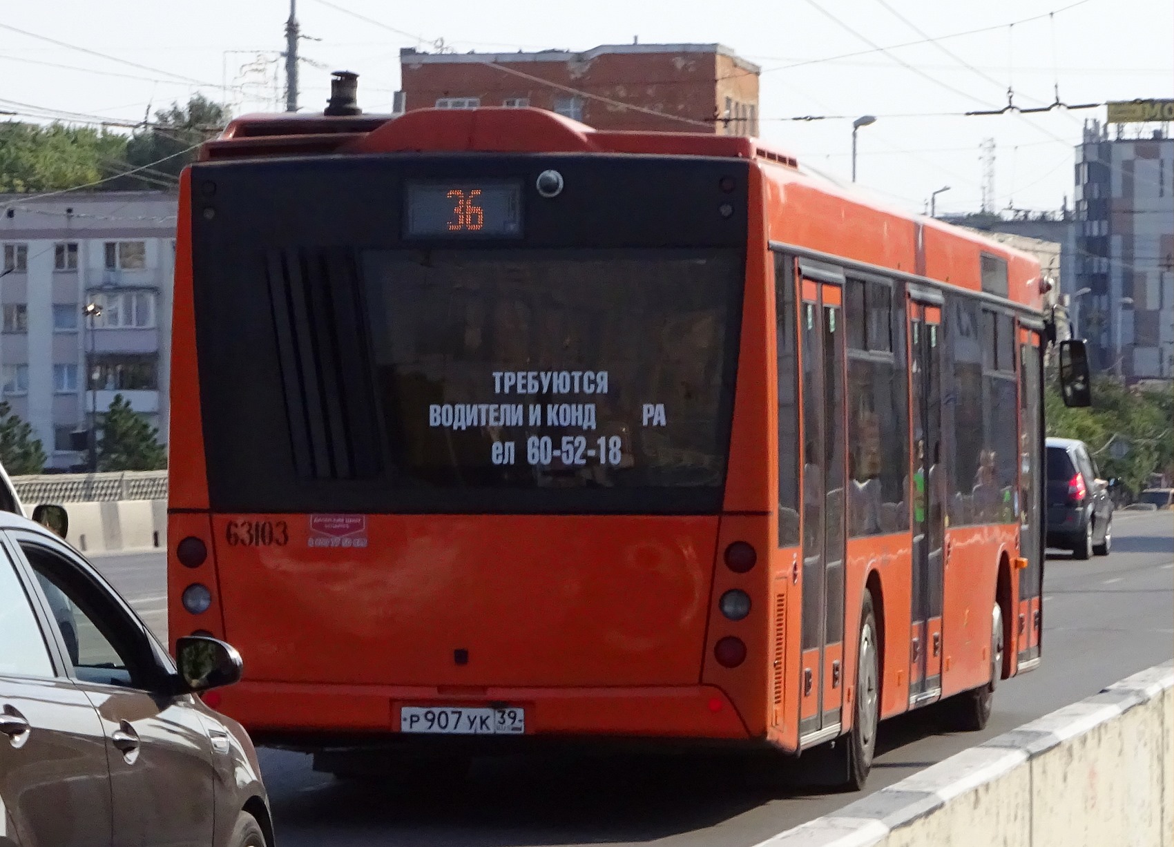 р 907 ук 39, MAZ 203 1st gen, 2006–2022