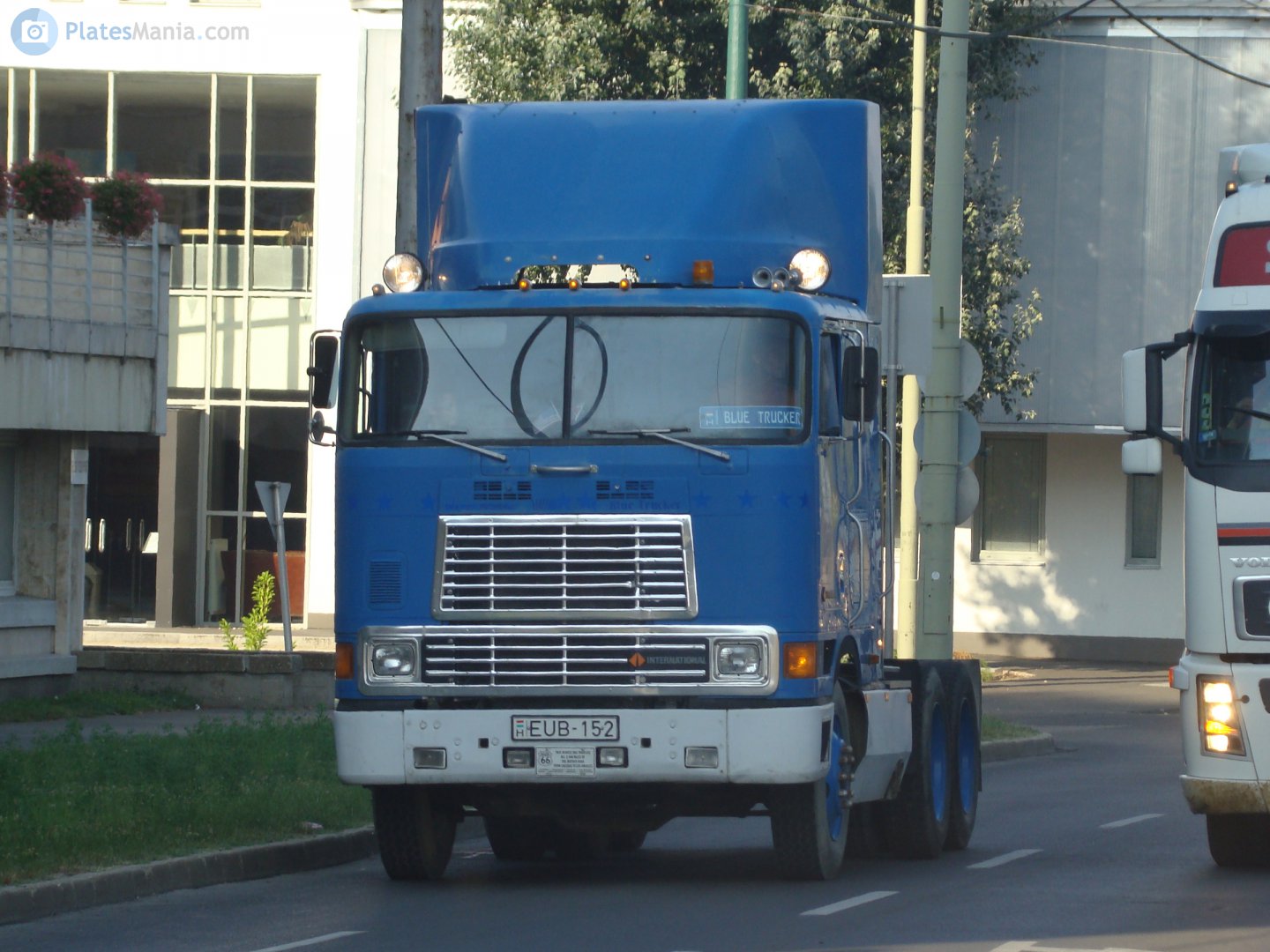 EUB-152, International 9000-Series 9600-9870, 1981–