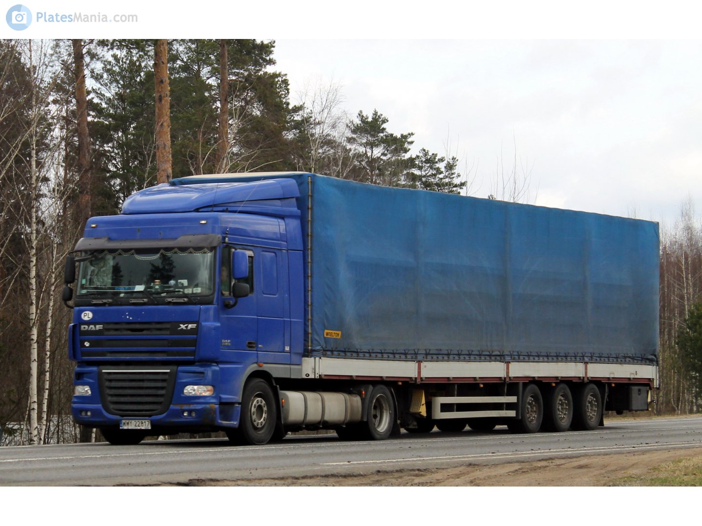 WWY 22817, DAF XF 