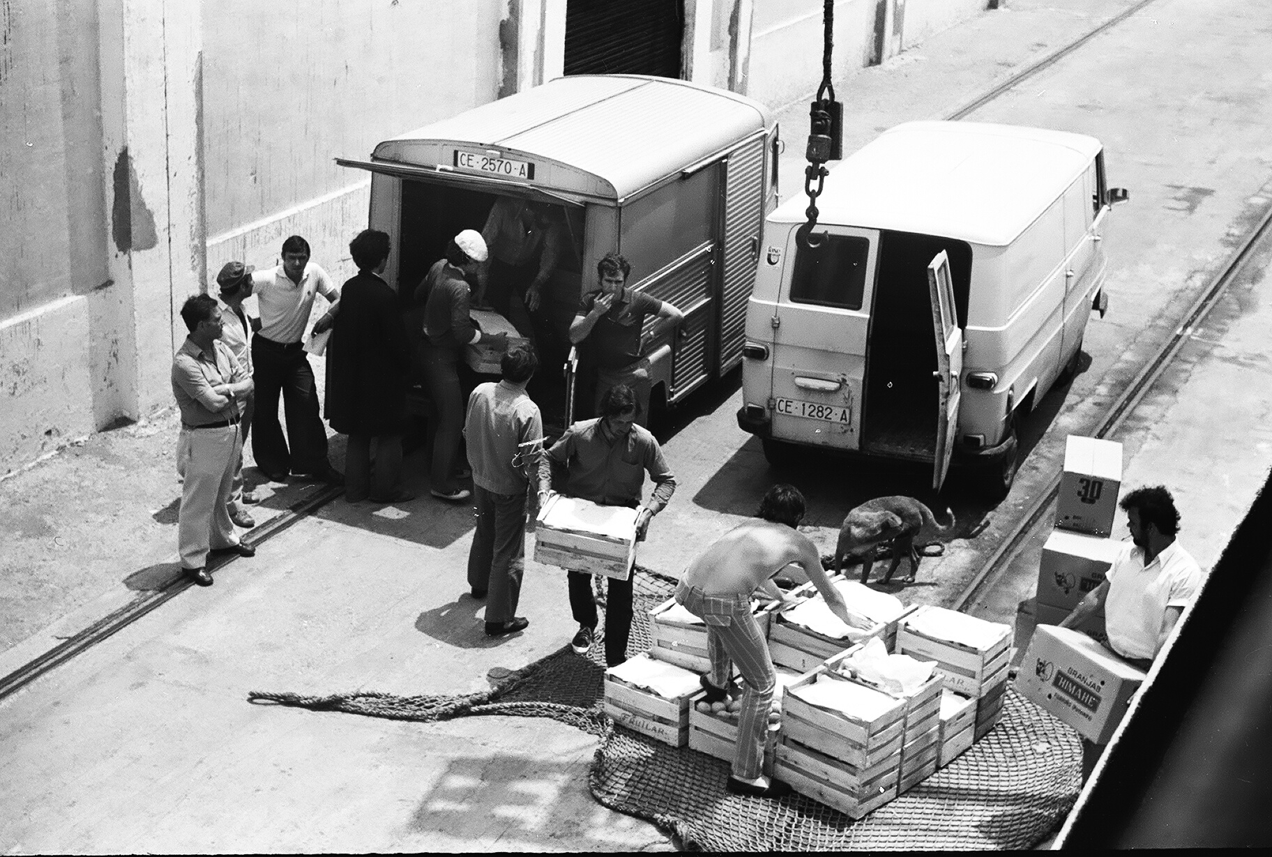 CE 1282 A, DKW F1000 