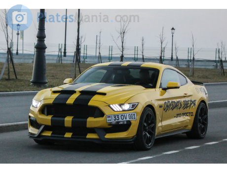 33 OV 001, Ford Mustang