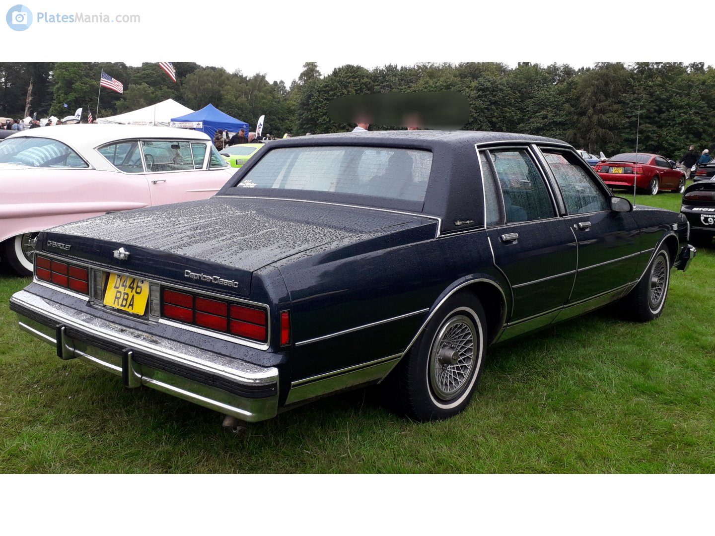 D446RBA, Chevrolet Caprice 3rd gen 4-door Sedan (69; B-body), 1976–1989