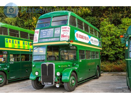 OLD 566, AEC Regent