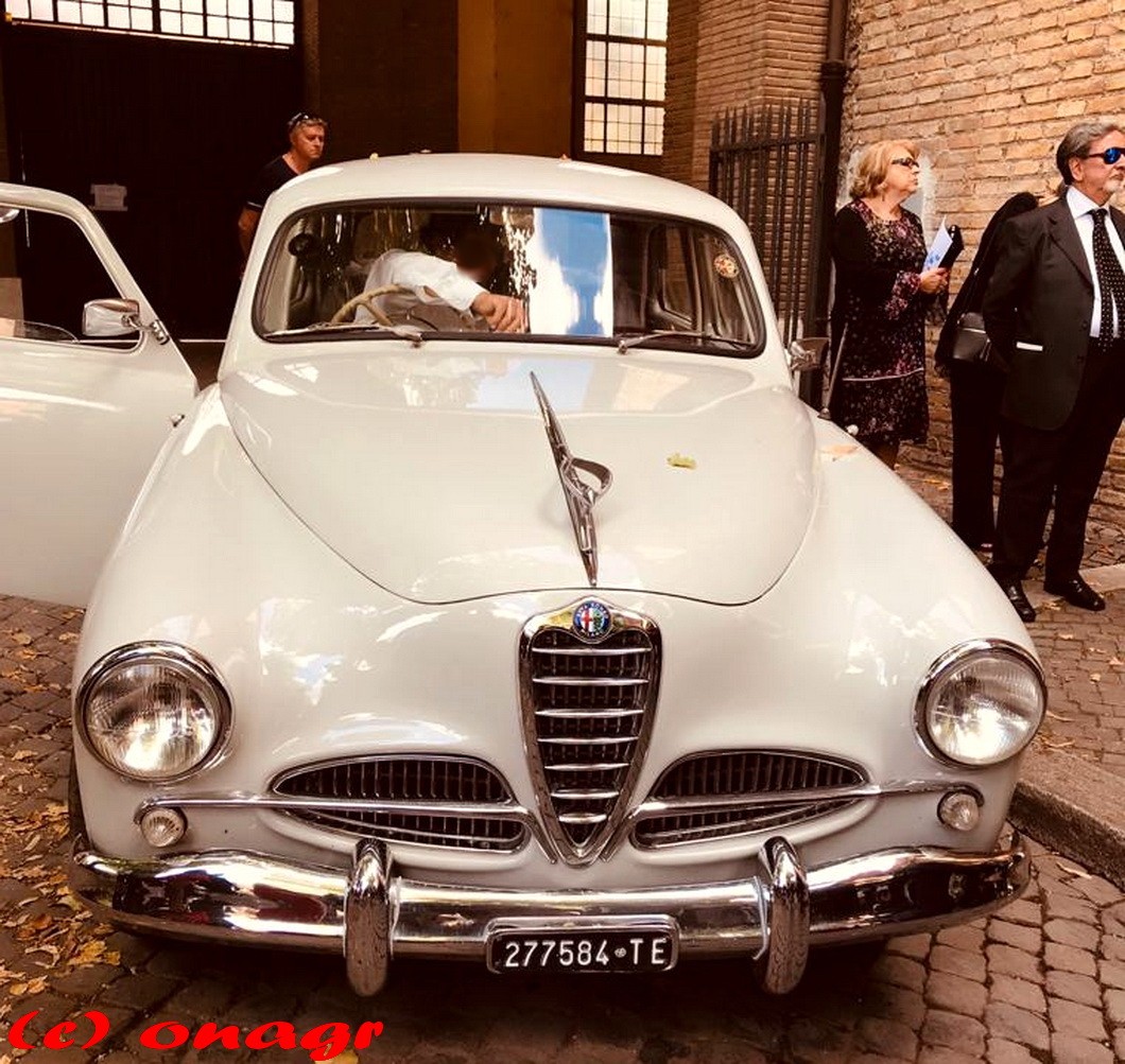TE 277584, Alfa Romeo 1900 1st gen, 1950–1959