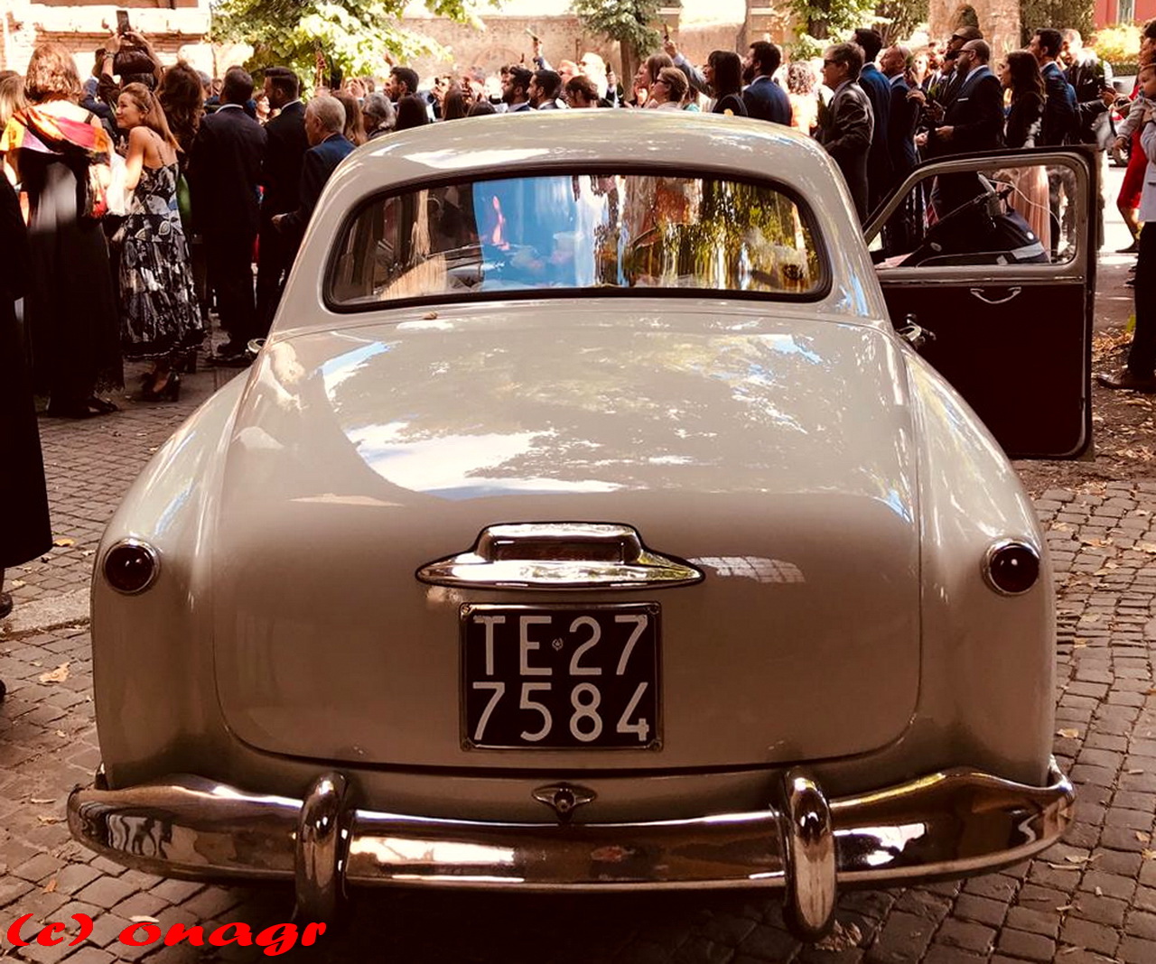 TE 277584, Alfa Romeo 1900 1st gen, 1950–1959