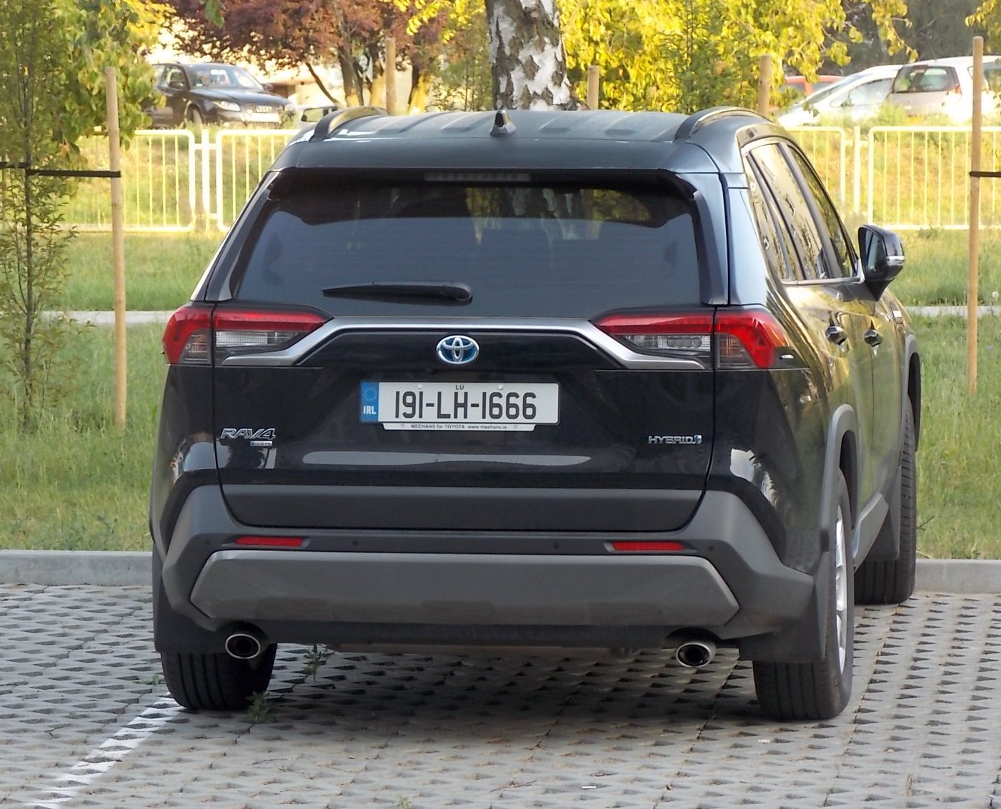 191-LH-1666, Toyota RAV4 