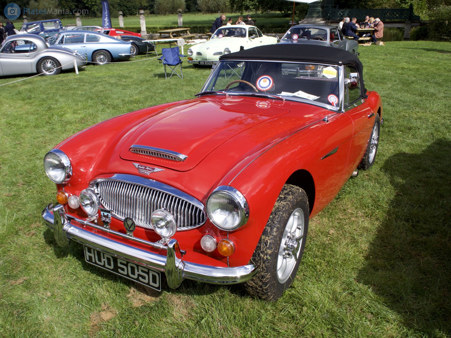 HUD505D, Austin-Healey 100/3000 