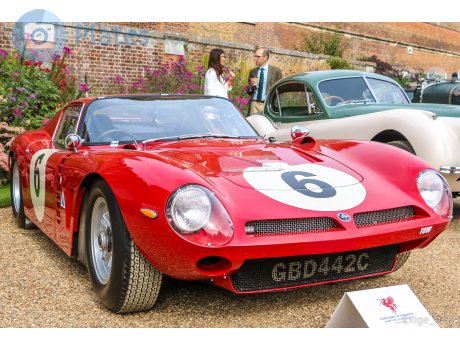 GBD 442C, Iso Grifo