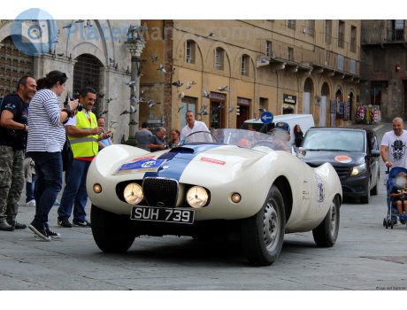 SUH 739, Arnolt Bristol