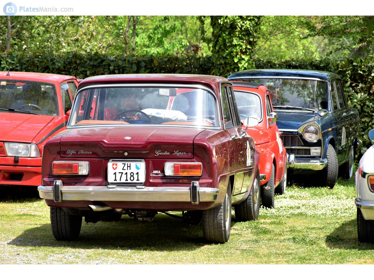 ZH 17181, Alfa Romeo Giulia 1st gen (105), 1962–1977