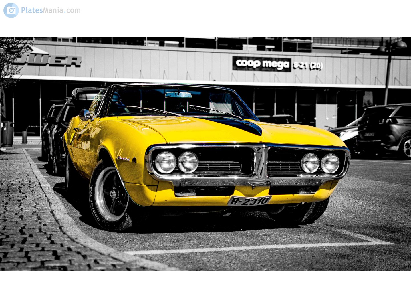 R-2310, Pontiac Firebird 1st gen 1967/1968 Convertible (22367/2367; F-body), 1967–1968