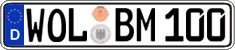 German license plate, Regular plates