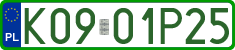 License plates of Poland, Professional plates