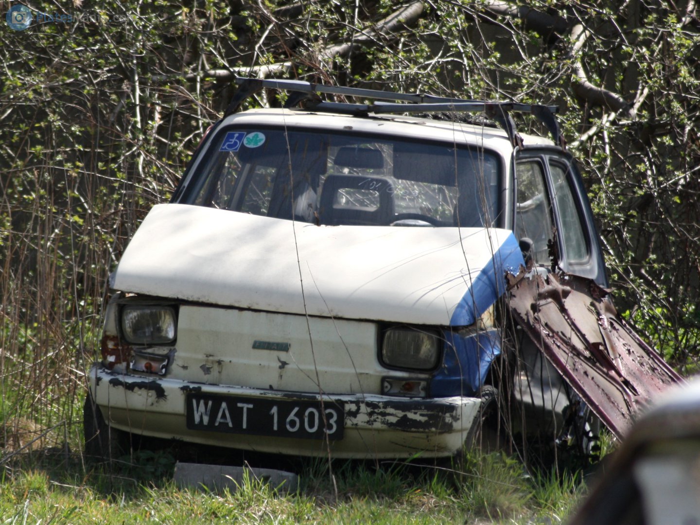 WAT 1603, Polski Fiat 126p 126p 600/650/FL, 1973–1994