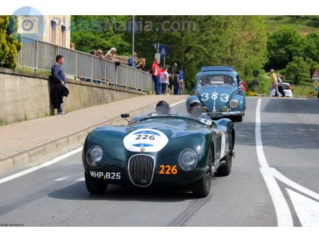 MHP 825, Jaguar C-Type